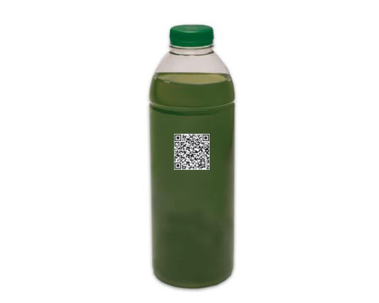 Mikroalge Nannochloropsis sp. 1000ml