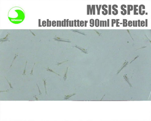 MYSIS SPEC. 90ml lebend